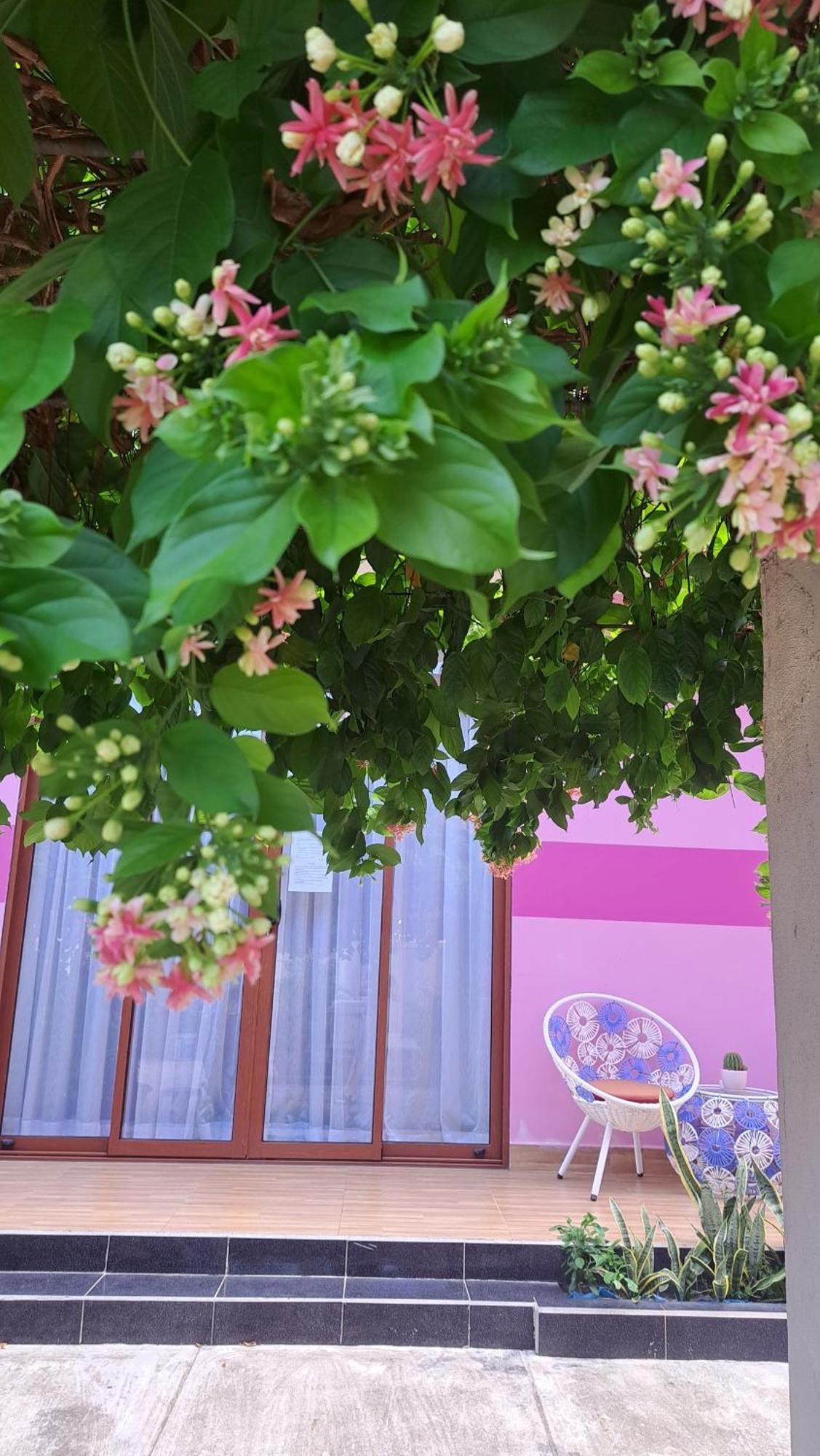 Pink House Homestay هوي ان المظهر الخارجي الصورة