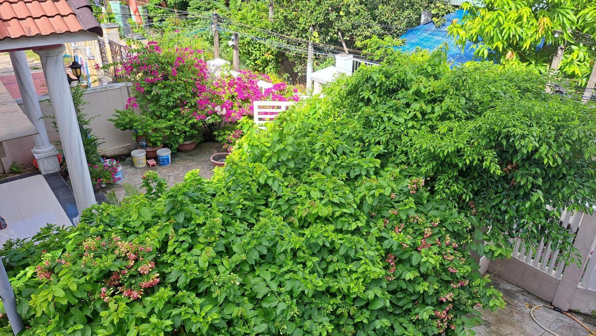 Pink House Homestay هوي ان المظهر الخارجي الصورة