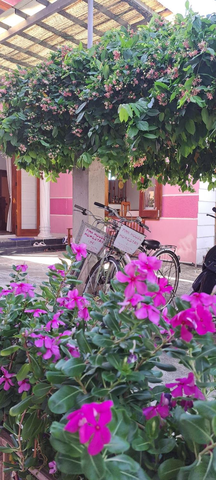 Pink House Homestay هوي ان المظهر الخارجي الصورة